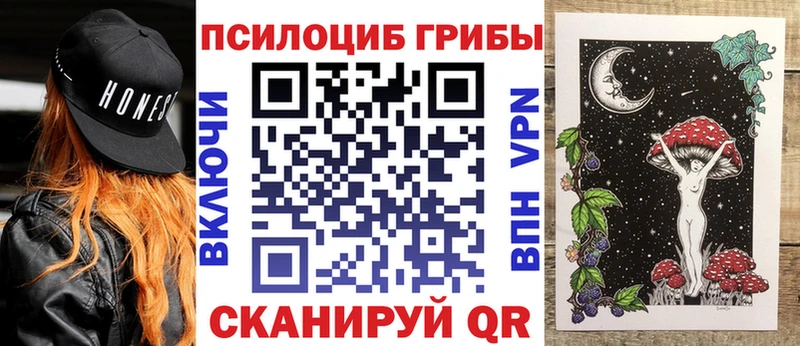 Галлюциногенные грибы Cubensis  купить наркотик  mega ссылки  Тогучин 